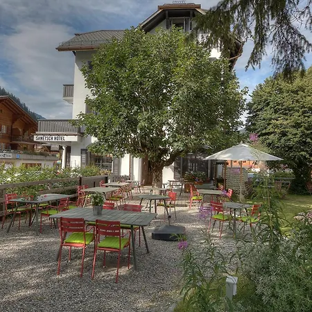 Sanetsch Hotel *